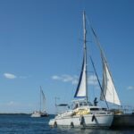 1f33211a6c17443da8c175ba11f1aacc