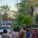 26e37360fd9d458ba7a14f83b254857d