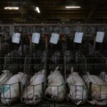 29bc6310616a4afa939f84d7c002d6b5