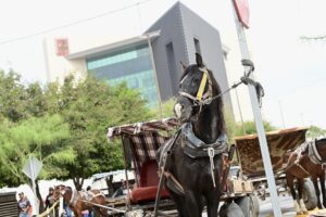 2d8f2b169d7340579b8cccd5f90ad446