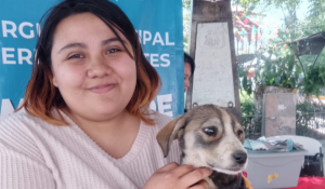 3a74a5dd775e475799797f45d76a14c5