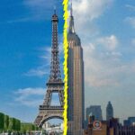 3b1a830fd49a45e8ad9136fd7940c87a