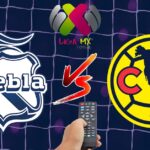 43d7d8ef49044185acb3e2d881cc044d