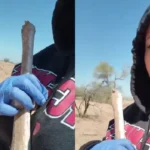 459c921403014a4b9f18cf89323f71e2