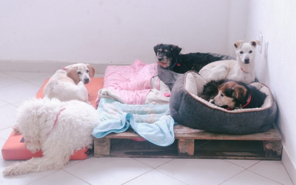 4795c525265d4927ac8b30f420b12688