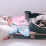 4795c525265d4927ac8b30f420b12688