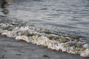 Tras un mes del derrame de crudo en sureste de México siguen dudas sobre daños y origen