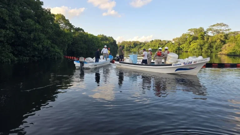 7fc18cb15b39455b968c5ac77edfad59