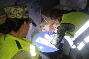 a006e2f12a9544b99ce015f433a734d2