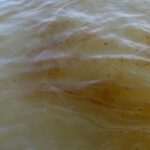 bb592d686ac84dbe8e62fe7a065c7a51