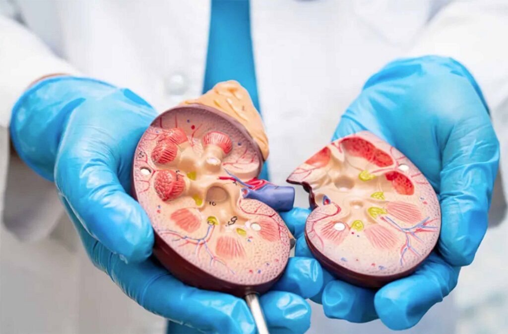 db71852f8c7c4e9da7c90489ae511966