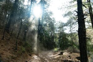 dc7038ffe5784fd5b9b062d5809e8a00