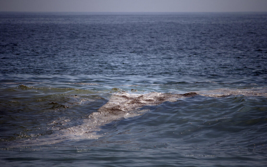 Greenpeace: mancha de crudo en el golfo de México tiene "impacto severo" en el ecosistema