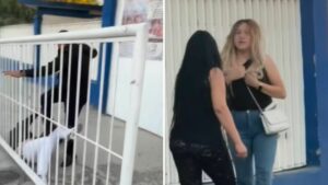 e3e17e4f06da4fc7935ba381a87ebc38