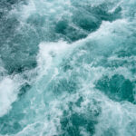 f0009fec075844a19e103a902393811a