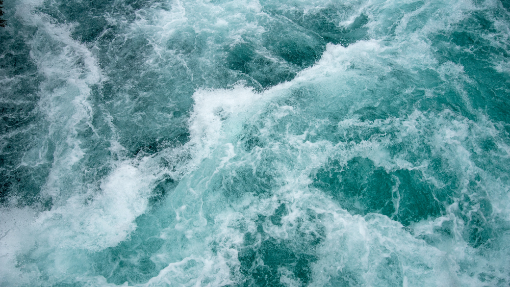 f0009fec075844a19e103a902393811a