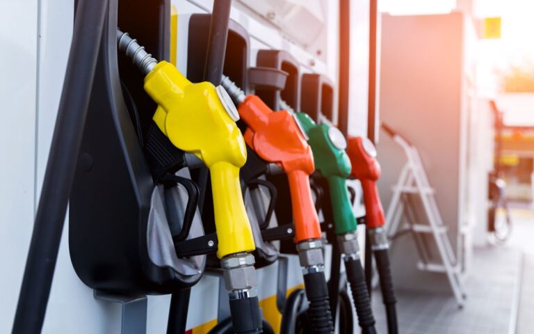 f15c3538525c481591550415a5a9a7f8