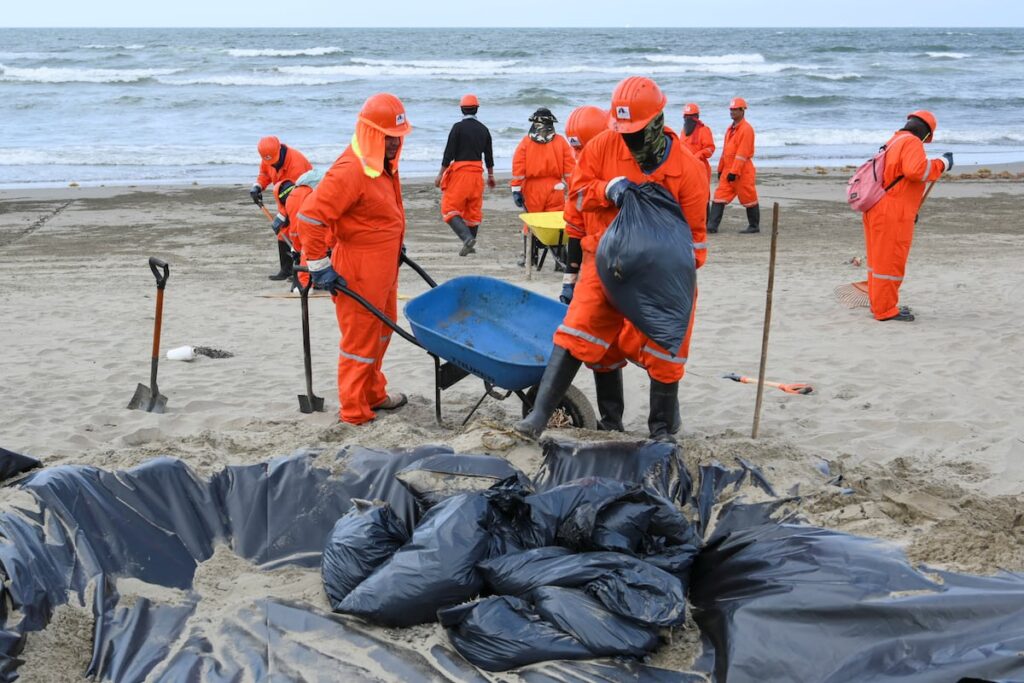 f703da7c7341436f8446589010795639