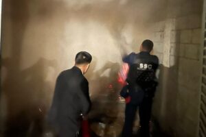 022a9ec30da2446e8edebc1950f8e50c