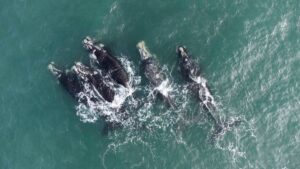 06076c1a429a4e718e540e20fe0c9f2d