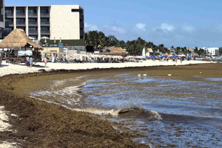 0f90a4d8e3254fc998f081eb7b0dd0e8