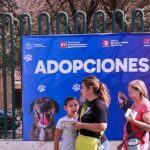 1576905a3cb140d0bd7fa155fb1d51c9