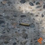 1922883991774e3fa037e3d278013b52