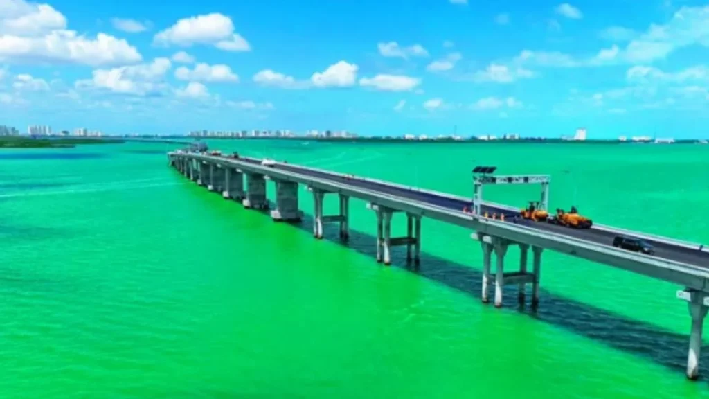 2a50a28566394c40b4cb27833fe2ca7d