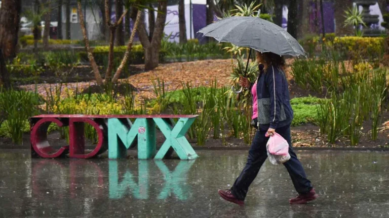 3593e8d954244adab8233ee19293806c