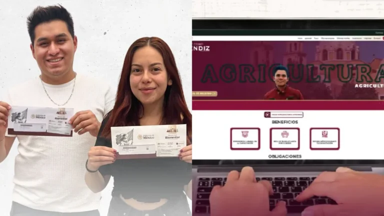 3c9977dc3f7a4cbdaa85487294f2be23