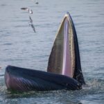 5003953815024f2fb6f64639cc8c77ca