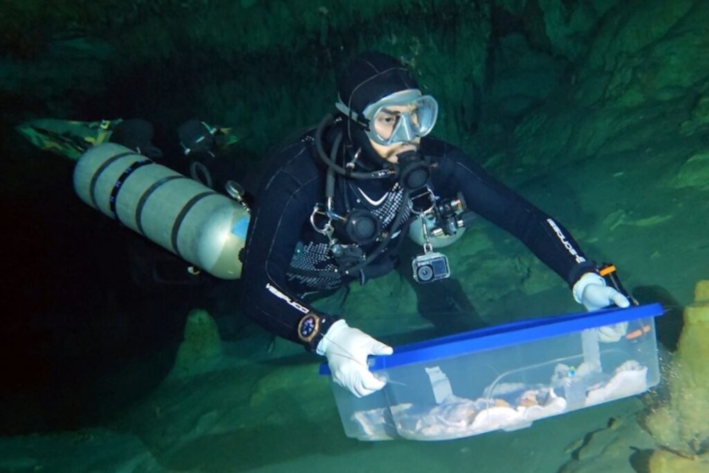 718bea192a2443deb5e9a68b6a436445