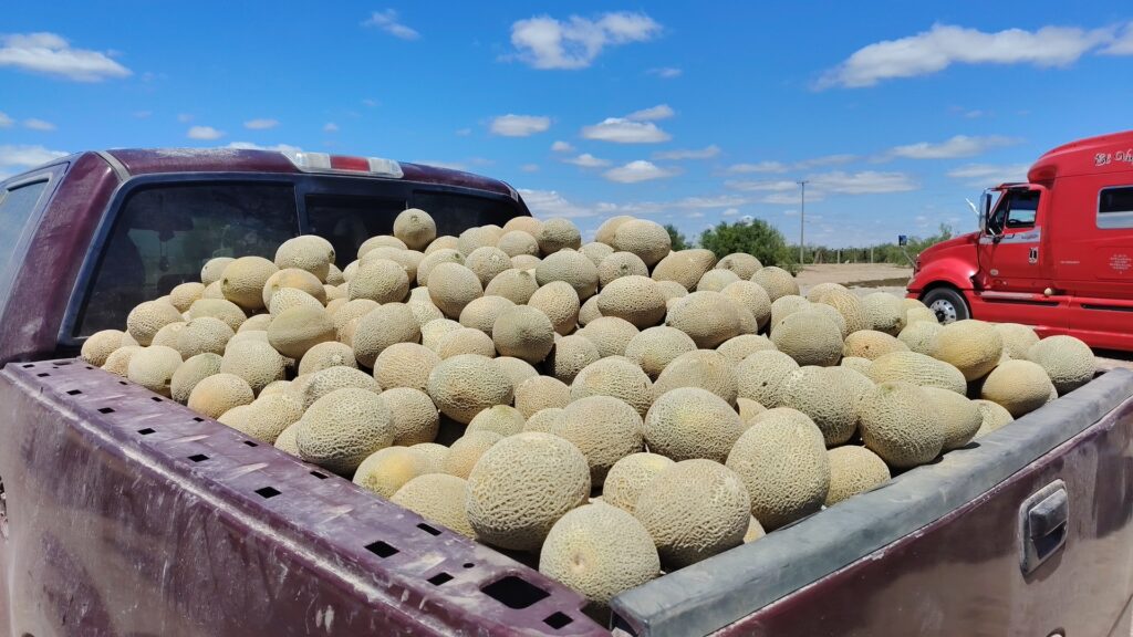 7a4d689bf6454e61ac81336fbc03509d