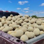 7a4d689bf6454e61ac81336fbc03509d