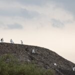 7a63d335b42e4522b8b6721615b6e6d0