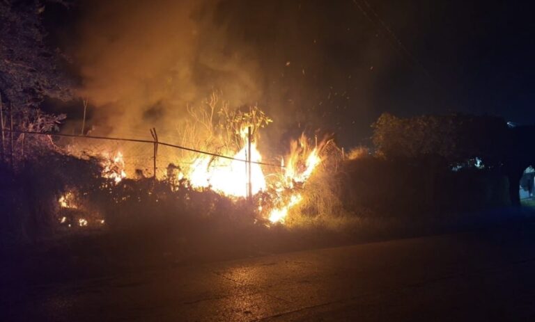 81245d2ac6de48b68afe74dca681628e