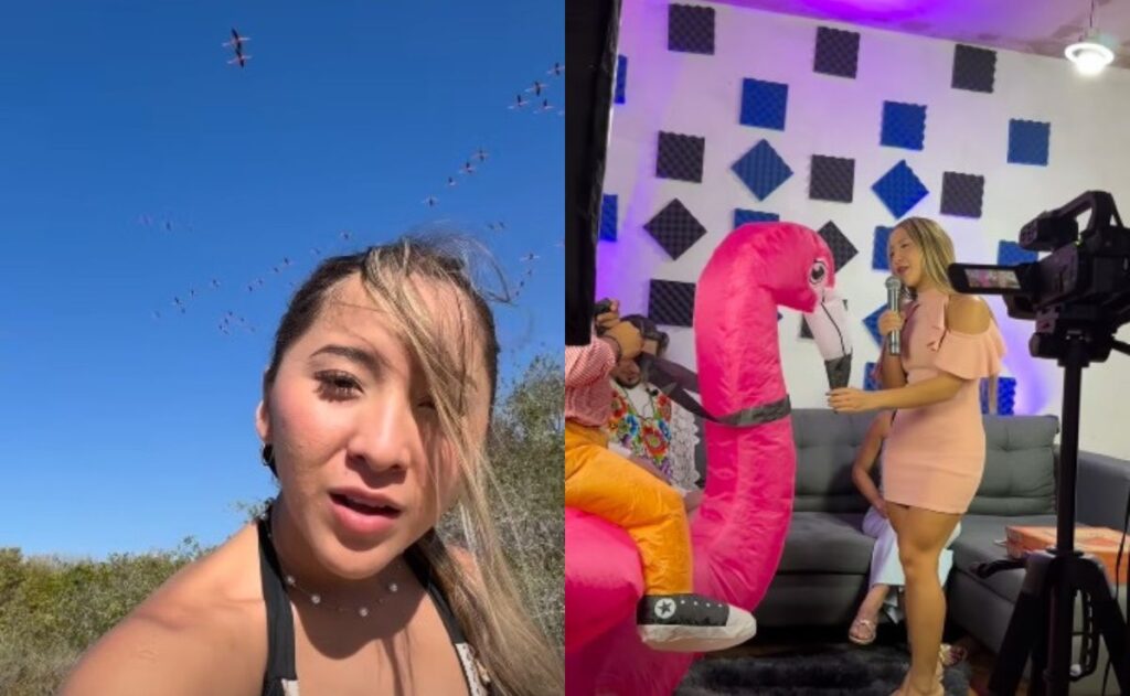 902fab975b854a5b8c7686595022e504