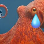 a0570ee7d4b7436fbe37bf534c2623c6