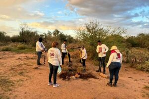 ac4ccd48fe1640e08909abe3e02ebe32