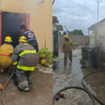 cae6e5f786d7439b874916b12f541648