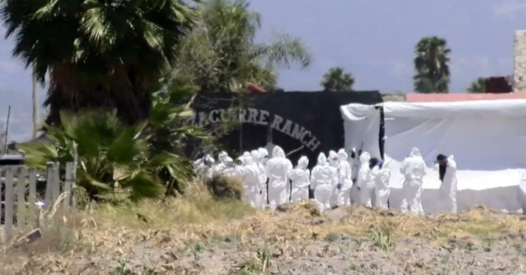 d2bd434efa5e4ceda64eecff9bd04eec