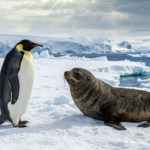 dd9738e88c9846c08c972ca7bed9c667