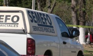 e9bb9065c6b44372a945b69e800eaf2e