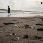 ef47d4c44662432d8555b31e86e8ec60