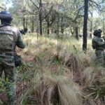 f622d377b9d045cbb7852dfd20fd5351