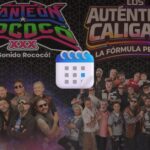 472f4dbfd69541139d53325cfc8ebce2
